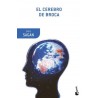 CEREBRO DE BROCA, EL