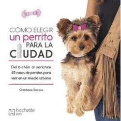 COMO ELEGIR UN PERRITO PARA LA CIUDAD