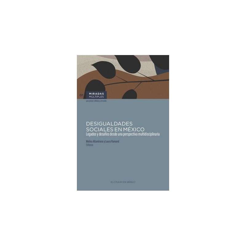 DESIGUALDADES SOCIALES EN MÉXICO