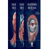 ANATOMÍA HUMANA TOMO I, II Y III